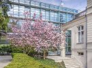 amber_room_magnolia_2014-31